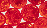 Cultural Capsule: The Origin of the Tomato
