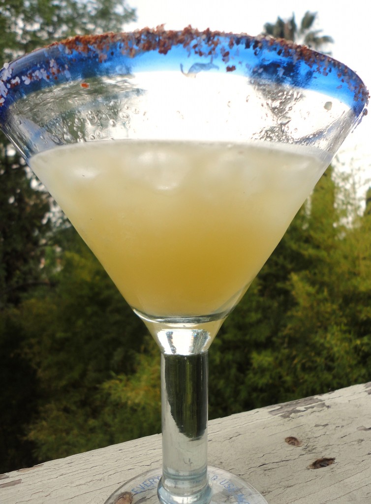 Margarita with Agave Syrup