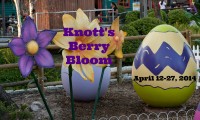 2nd Annual Knott’s Berry Bloom; A Perfect Local Outing for a Foodie Family